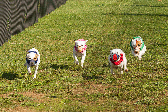 JRTCARacing2012-272