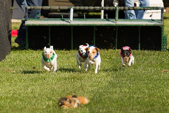 JRTCARacing2012-275